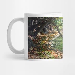 Myers Big Island State Park Mug